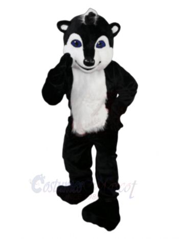 Skunk Mascot Costumes