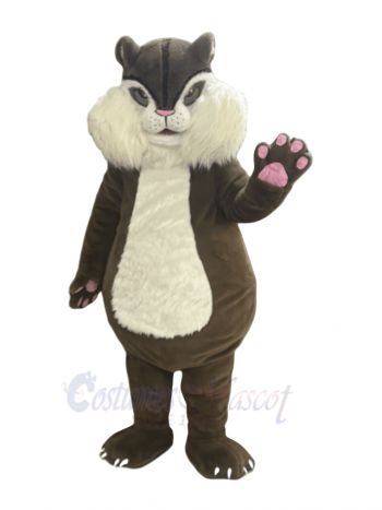 Good Quality Squirrel Mascot Costumes