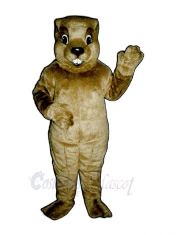 Groundhog Mascot Costumes