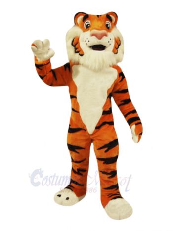 Friendly Tiger Mascot Costumes