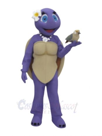 Female Turtle Mascot Costumes