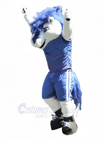 College Sport Horse Mascot Costume