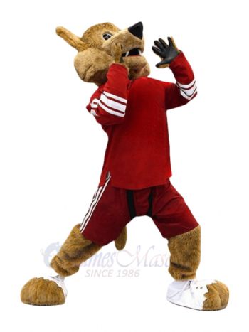 Roaring coyotes Mascot Costumes