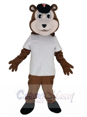 Baseball Brown Bear Mascot Costume Animal