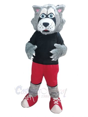 Adorable Wolf Mascot Costume Animal