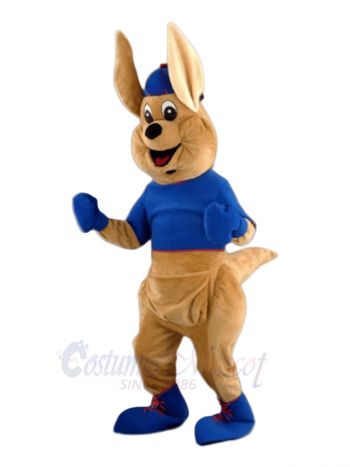 Cute Boxing Kangaroo Mascot Costumes