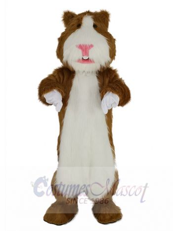 Cute Hamster Mascot Costume Animal