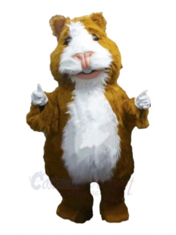 Cute Hamster Mascot Costumes