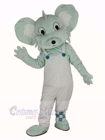 Grey Koala in White Coat Mascot Costume Animal