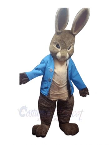 Peter Rabbit Mascot Costumes