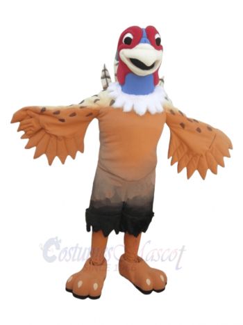 Nice Pheasant Mascot Costumes