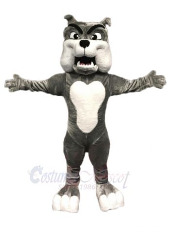 Quality Grey Bulldog Mascot Costumes 