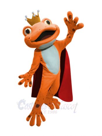 Cute Orange Frog Mascot Costumes