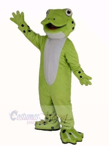 Cute Happy Frog Mascot Costume Animal