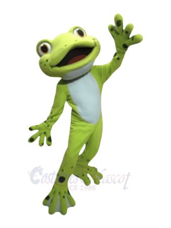 Cute Green Frog Mascot Costumes