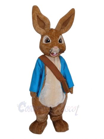 Lovely Peter Rabbit Mascot Costumes