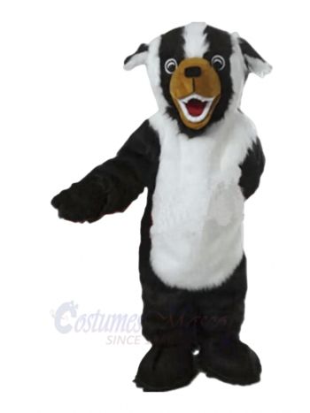 Lovely Badger Mascot Costumes