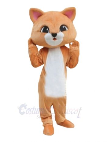 Cute Orange Cat Mascot Costumes