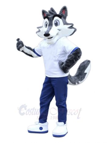 Funny Wolf Mascot Costumes