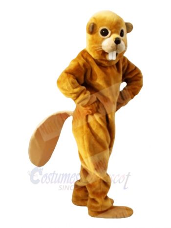 Friendly Yellow Beaver Mascot Costumes