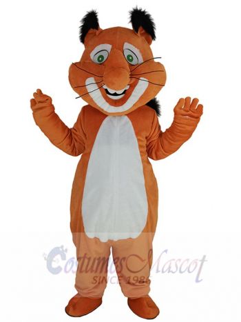 Lovely Chubby Squirrel Mascot Costume Animal