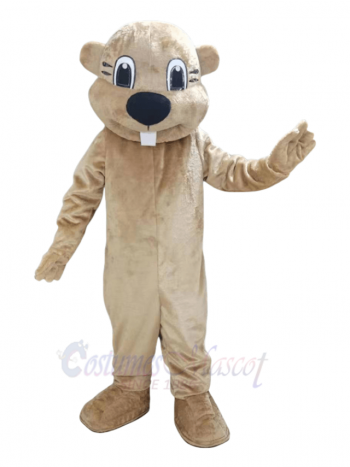 Lovely Beaver Mascot Costume Animal