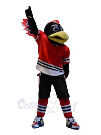 Cool Sports Hawk Mascot Costumes