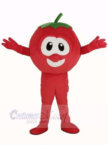 VeggieTales Character Tomato Bob Mascot Costume Fruit