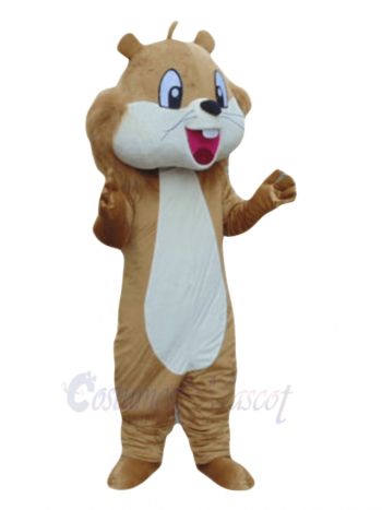 Cute Brown Squirrel Mascot Costumes