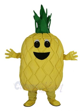 Lovely Pineapple Mascot Costume Fruit