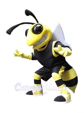 Yellow and Black Hornets Mascot Costume