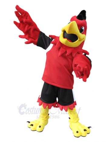 Red Hawk Mascot Costume