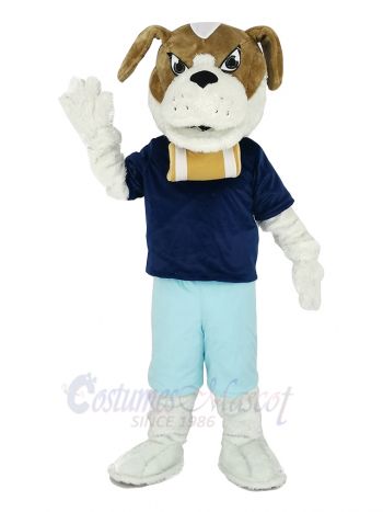 Saint Bernard Dog in Blue T-shirt Mascot Costume Animal