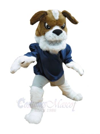 Fierce St. Bernard Dog Mascot Costumes