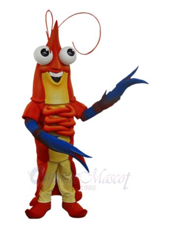 Cute Shrimp Prawn Mascot Costumes