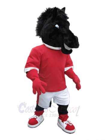 Cute Black Horse Mustang  Mascot Costumes