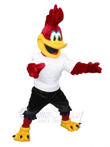 Red Roadrunner Mascot Costumes