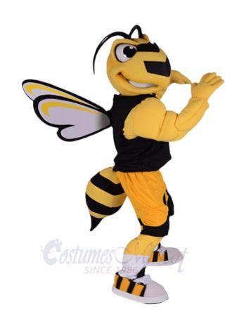 Bumble Bee Mascot Costumes