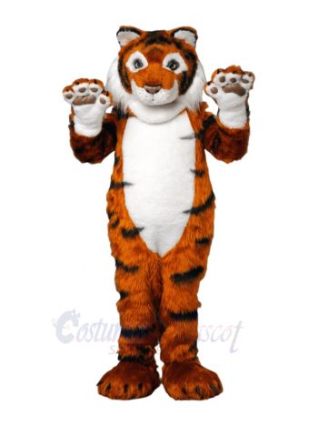 Cute Friendly Tiger Mascot Costumes