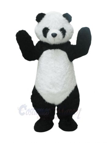 Funny Panda Adult Mascot Costumes