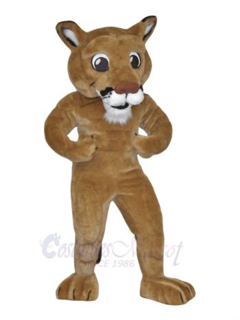 Cute Mountain Lion Mascot Costumes