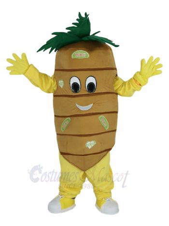 Carrot Mascot Costume Vegetable