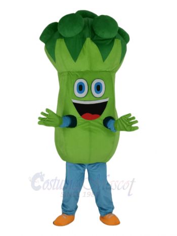 Bruce Broccoli Mascot Costume Fruit