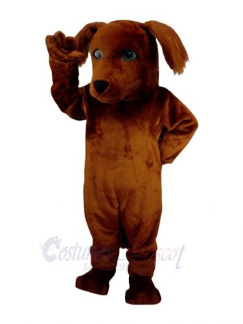 Cute Irish Setter Dog Mascot Costume