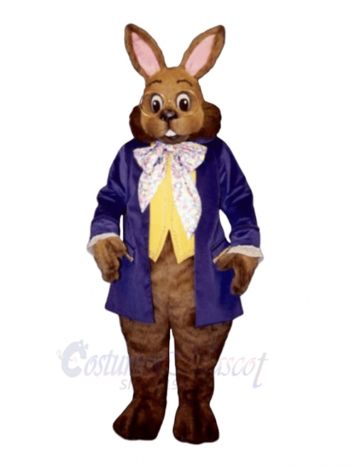 Easter Mr. Brown Bunny Mascot Costumes