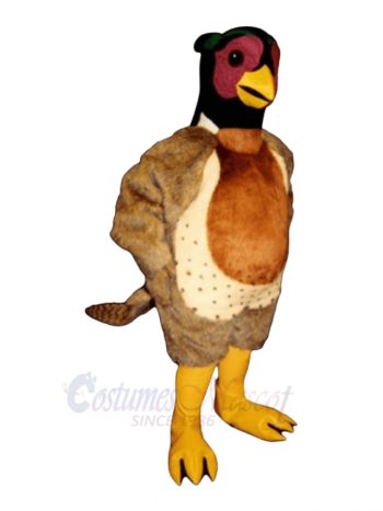 Cute Pheasant Mascot Costume Bird