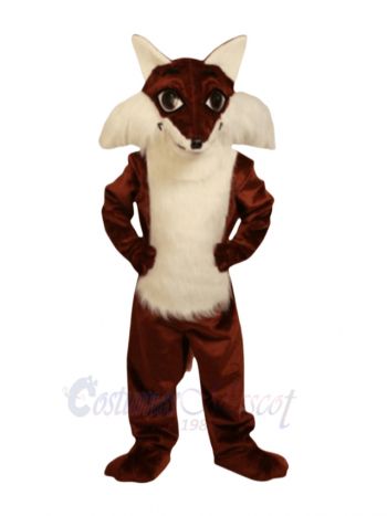 Cute Fox Mascot Costumes