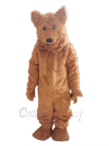 Wild Bear Mascot Costume Animal