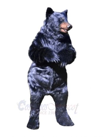 Wild Bear Mascot Costumes