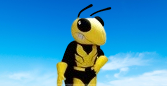 bee mascot costume